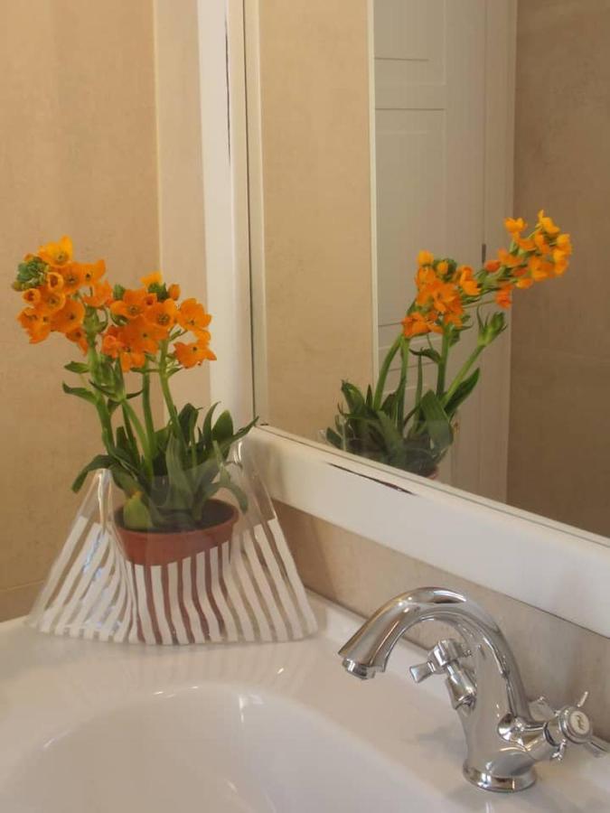 Via D'Acqua Al Mulino -City Center- Bo Bolonya Dış mekan fotoğraf